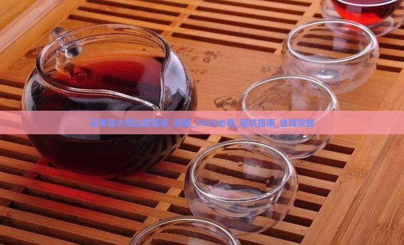 云南各大茶山普洱茶