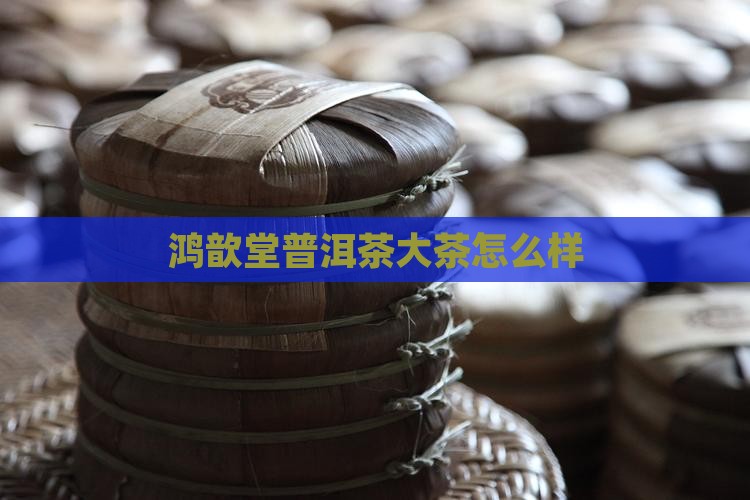 鸿歆堂普洱茶大茶
