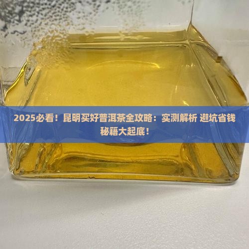 昆明哪里买到好普洱茶