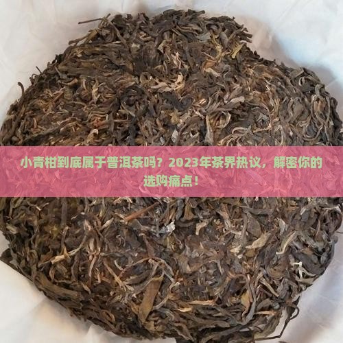 小青柑属于普洱茶