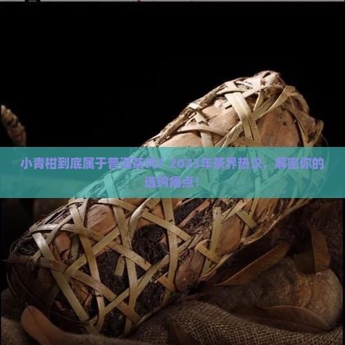 小青柑属于普洱茶