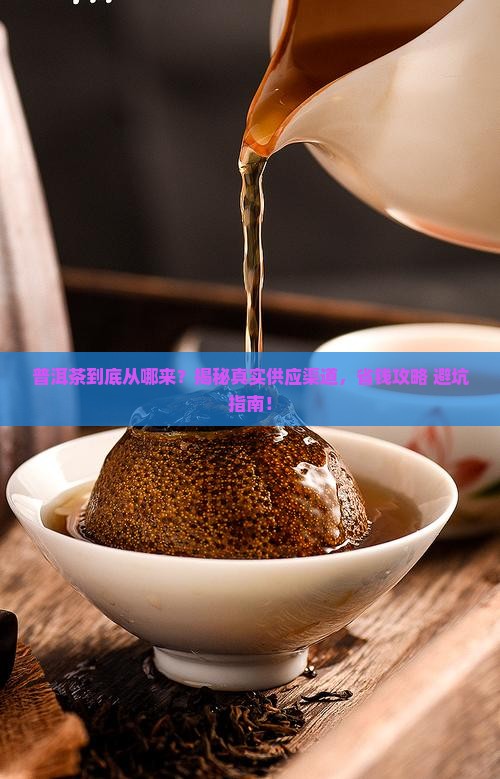 普洱茶的供应渠道是什么