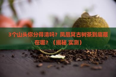 凤凰窝古树茶是哪个山头