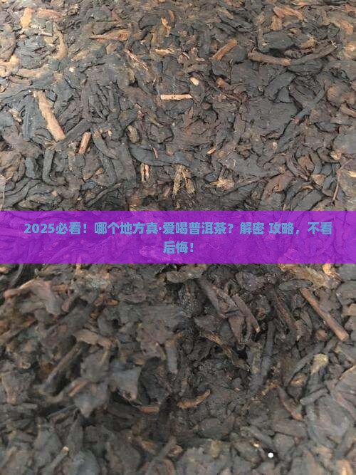 哪个地方喜欢喝普洱茶