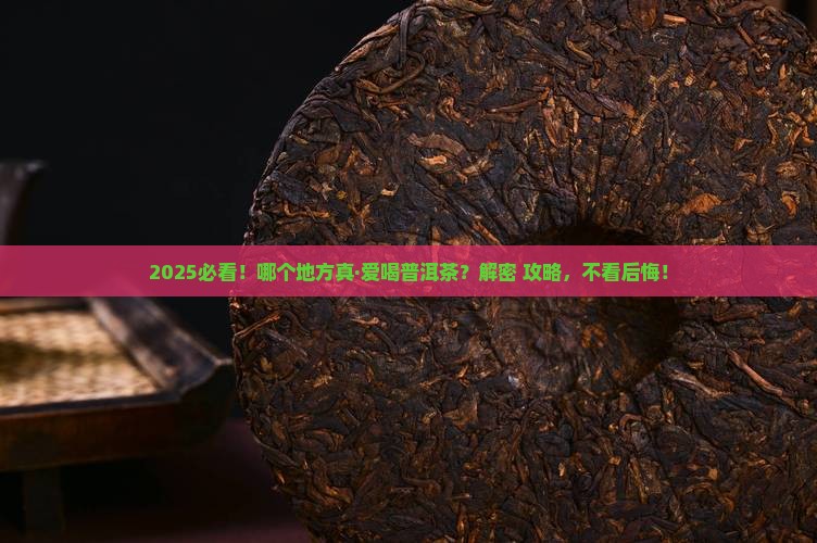 哪个地方喜欢喝普洱茶