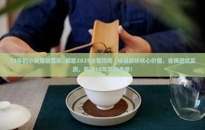 93年的小黄莺普洱茶