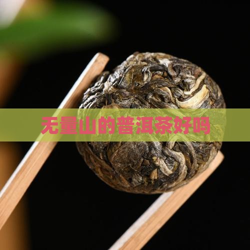无量山的普洱茶好吗