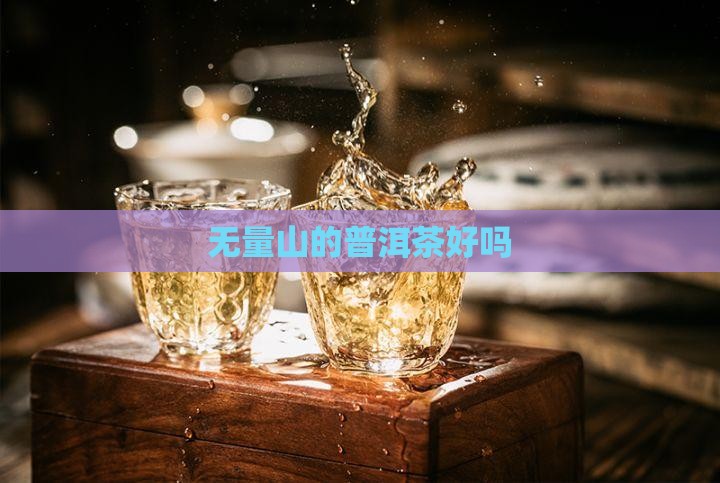 无量山的普洱茶好吗