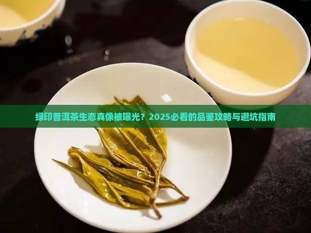 绿印普洱茶生态