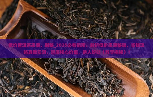 低价普洱茶来源