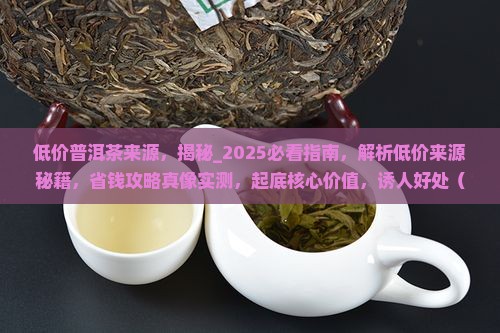 低价普洱茶来源