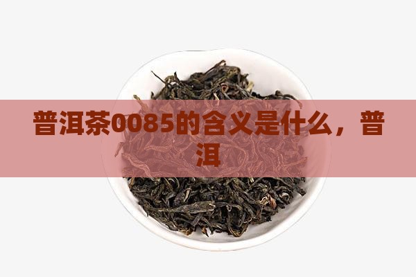 普洱茶0085的解说