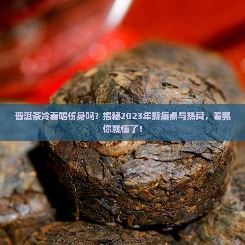 普洱茶可以冷下来喝吗百度百科