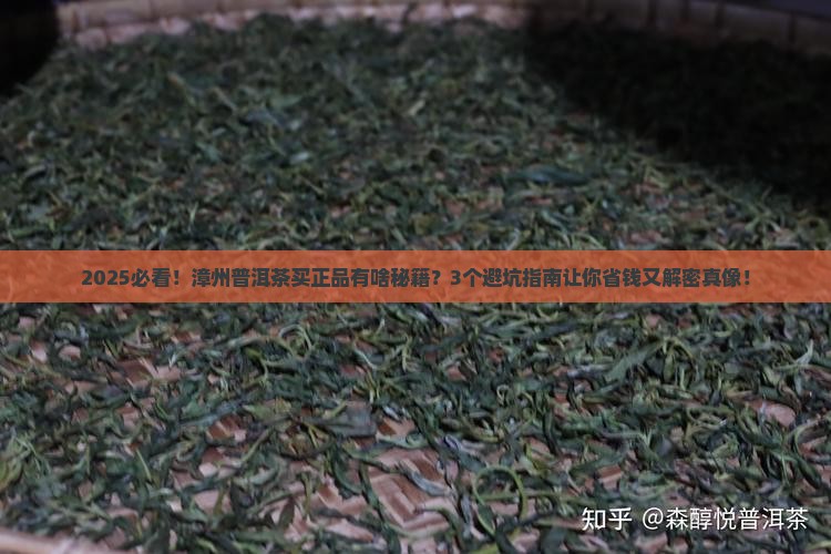 漳州普洱茶哪里买的到正品