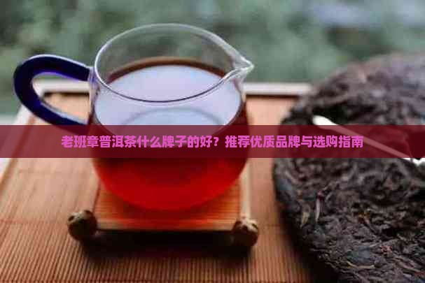 老班章普洱茶什么牌子的好