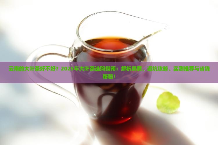 云南的大叶茶好不好