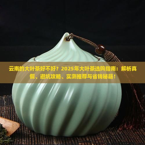 云南的大叶茶好不好