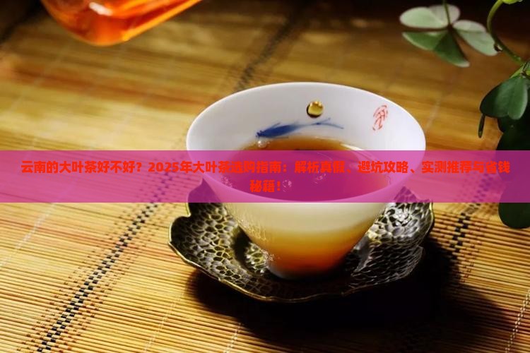 云南的大叶茶好不好