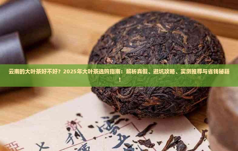 云南的大叶茶好不好