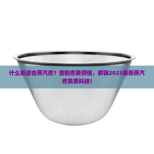 什么茶适合蒸汽煮