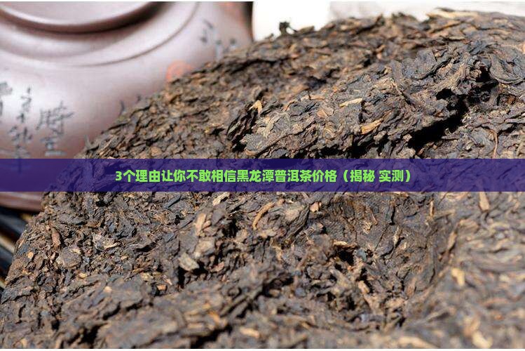 黑龙潭普洱茶价格