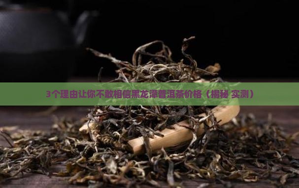 黑龙潭普洱茶价格