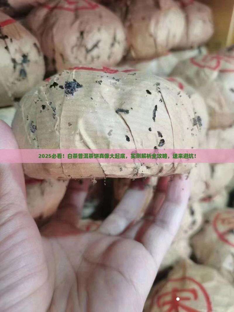 白茶普洱茶饼有什么区别