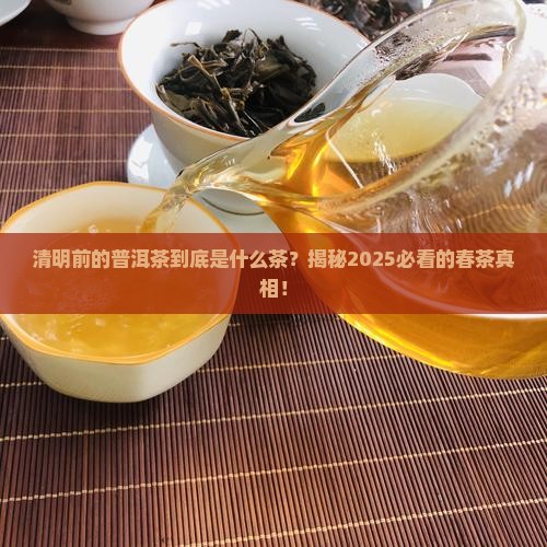 清明的普洱茶是什么茶