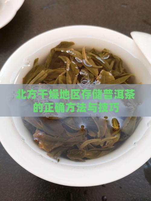 北方干燥地区存储普洱茶