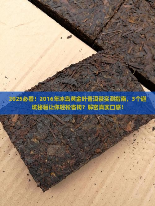 2016年冰岛黄金叶普洱茶