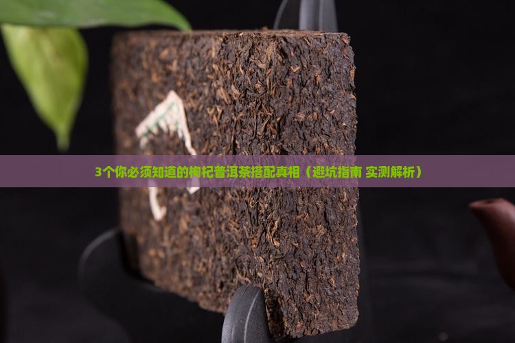 枸杞能与普洱茶同吃吗