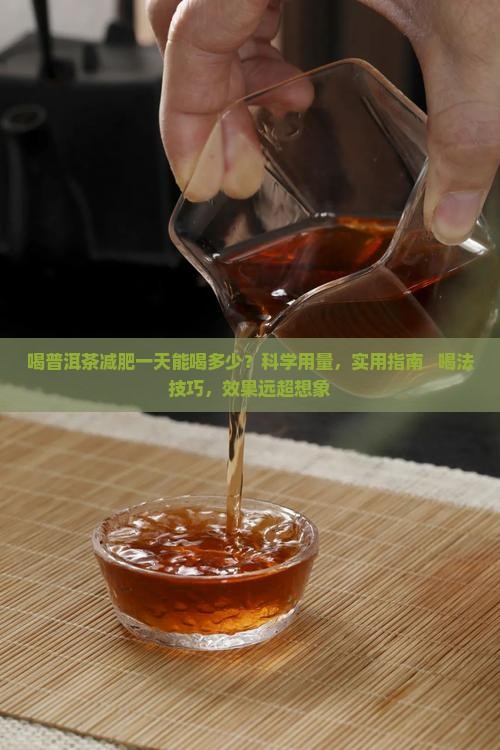 喝普洱茶减肥一天能喝多少