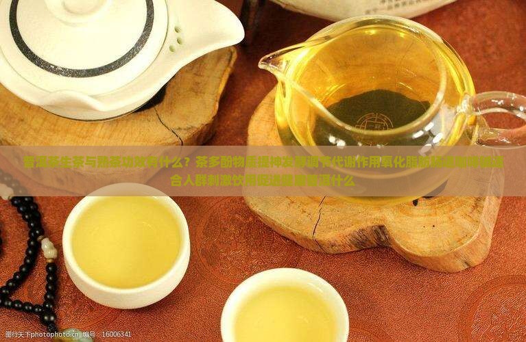 普洱茶熟茶与生茶功效