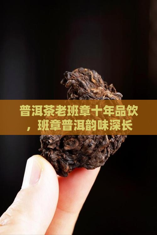 老班章10年品饮