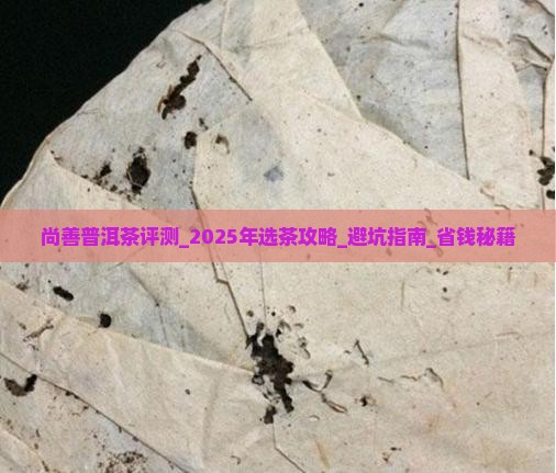 尚善普洱茶评测