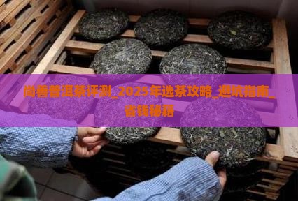 尚善普洱茶评测