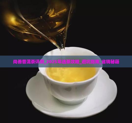 尚善普洱茶评测