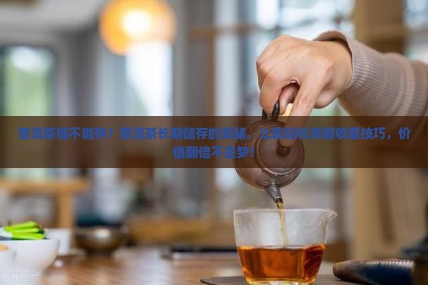 普洱茶能不能存
