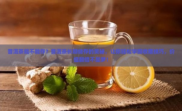 普洱茶能不能存