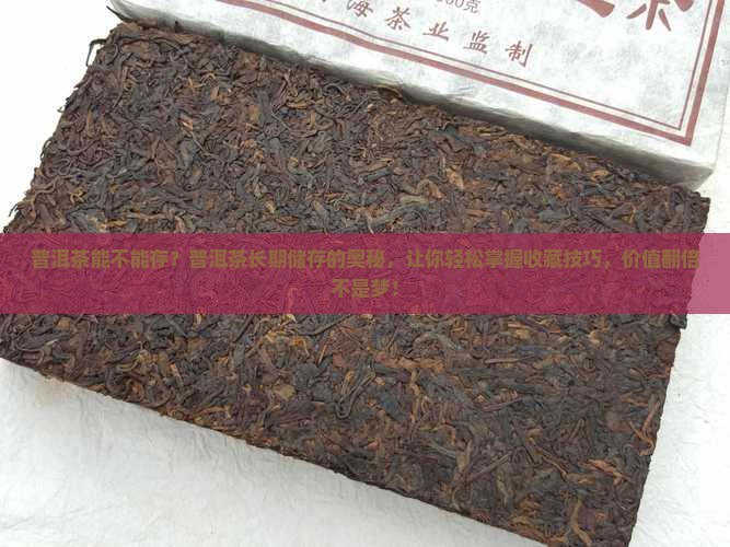 普洱茶能不能存