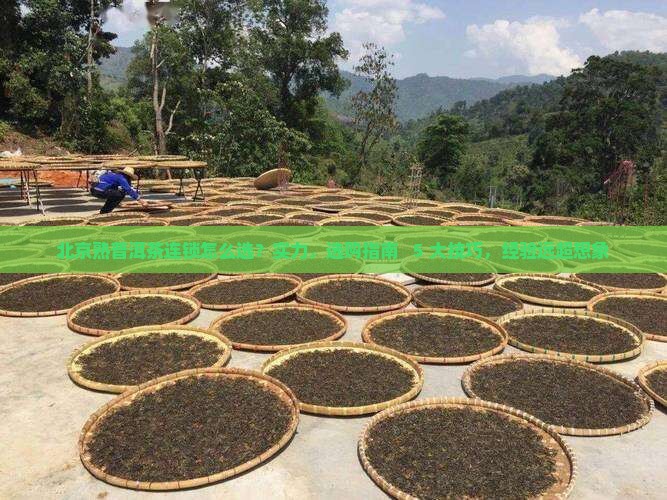 北京熟普洱茶连锁品牌