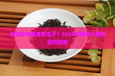 普洱茶饼里的茶有虫子