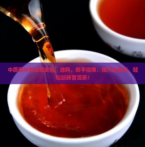中原茶叶普洱茶发售