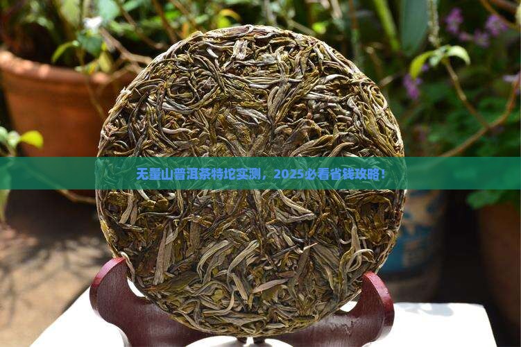 无量山普洱茶特坨