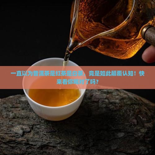一直以为普洱茶是红茶是白茶