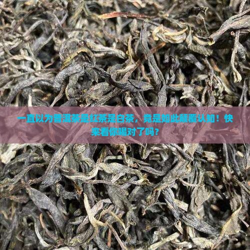 一直以为普洱茶是红茶是白茶