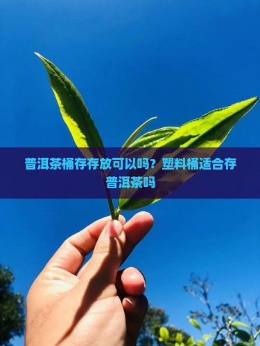 储物桶存普洱茶可以吗