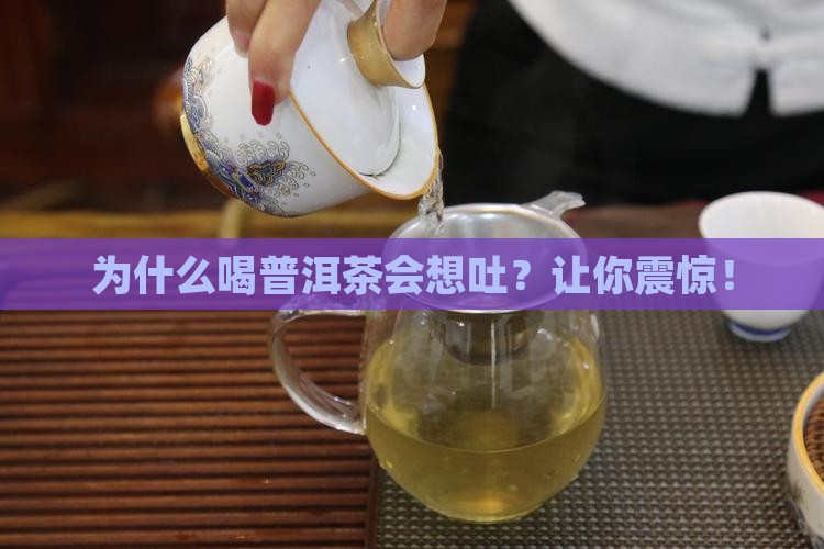 普洱茶喝了为什么会想吐