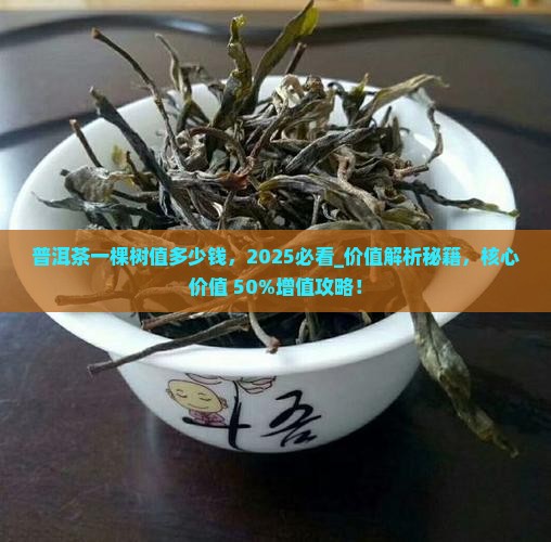 普洱茶一棵树品牌值多少钱