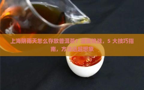 上海阴雨天怎么存放普洱茶